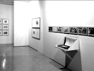 Vista parcial de la exposición