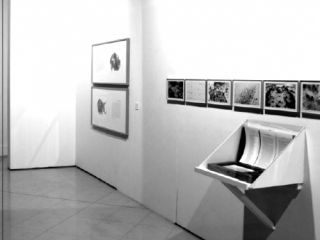 Vista parcial de la exposición