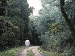 Andreės Talavero Paisaje Imaginario 1