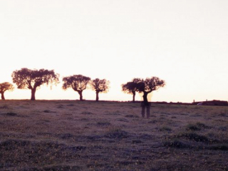 Andreės Talavero Paisaje Imaginario 4