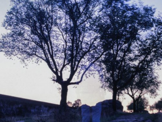 Andreės Talavero Paisaje Imaginario 5