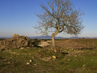 Andreės Talavero Paisaje Imaginario 6